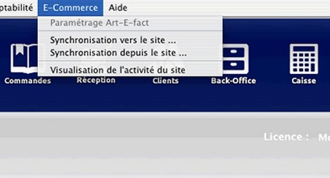 Synchronisation manuelle entre Artifact et Prestashop