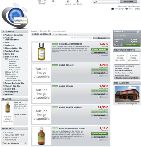 Site web d'e-commerce Prestashop - Artifact