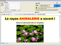 A2GI-Caisse * : Fidlisation par l'envoi d'emailing (courriers lectroniques) et de fax-mailing (22) -- 02/01/14